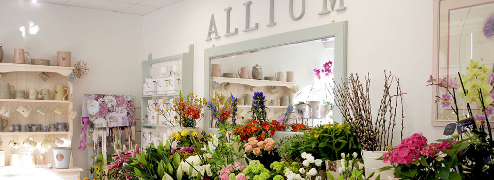 Allium Florist
